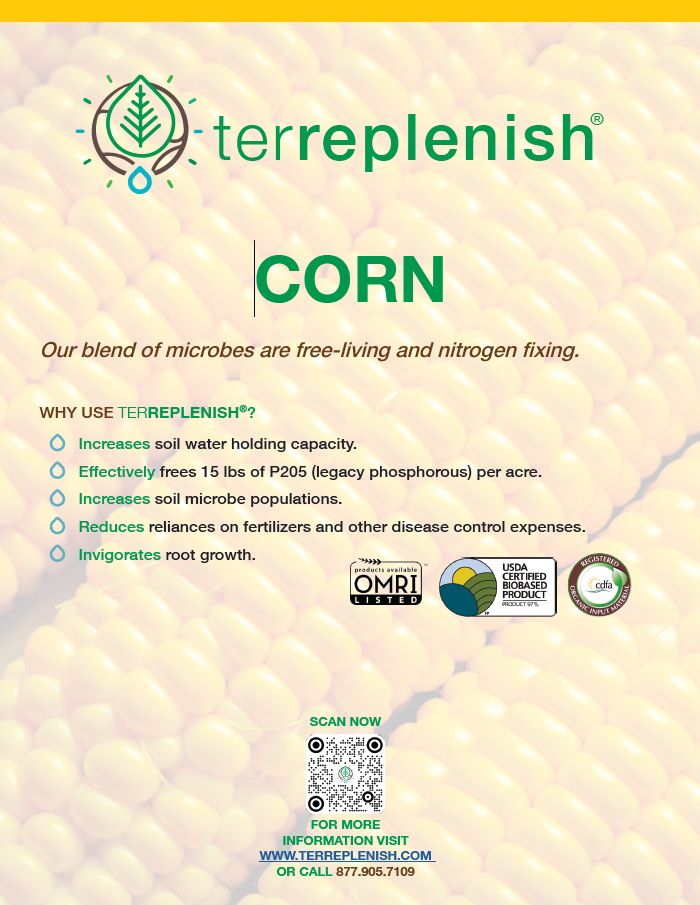 terreplenish-cover-corn
