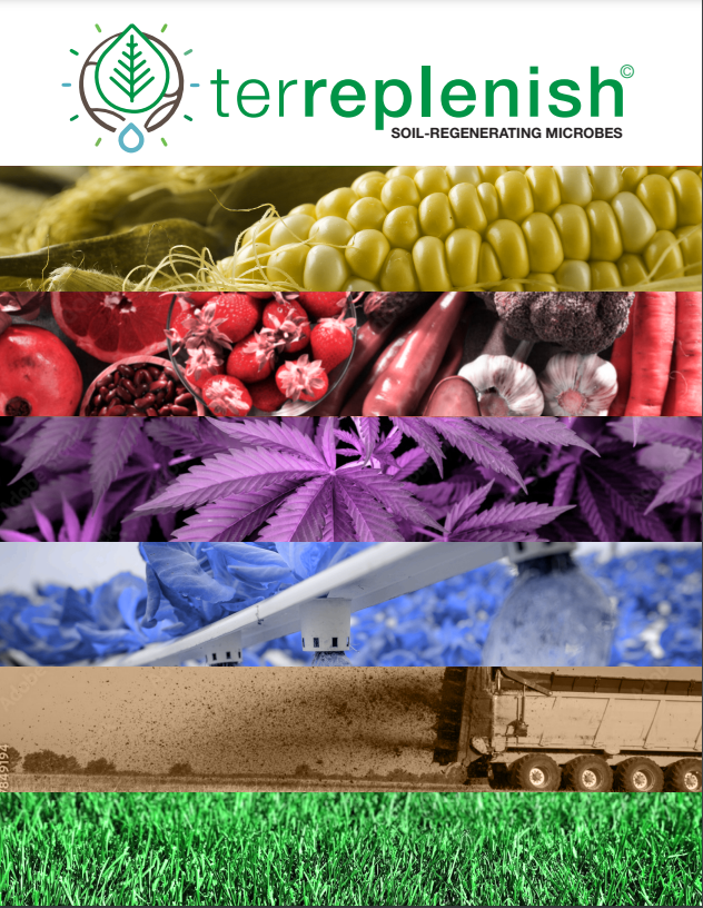 terreplentish-sales-kit-front-page terreplentish-sales-kit-front-page
